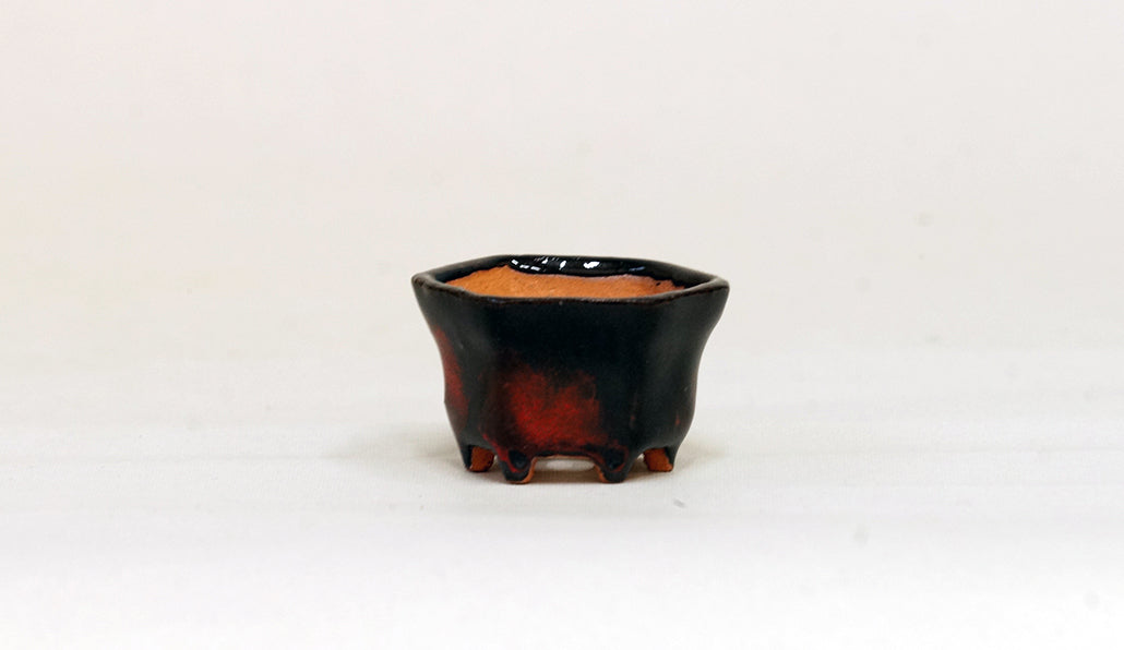 黒と赤の六角鉢 みさき圭 4.2cm K019