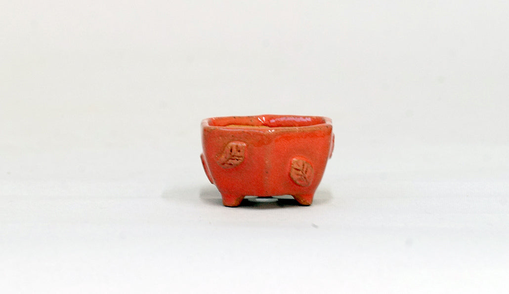 葉っぱレリーフの六角鉢 みさき圭 3.7cm K021