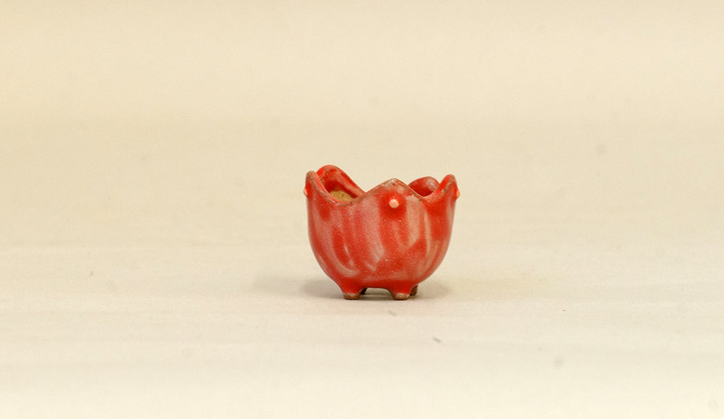 赤いチューリップ型の丸鉢 みさき圭 3cm K024