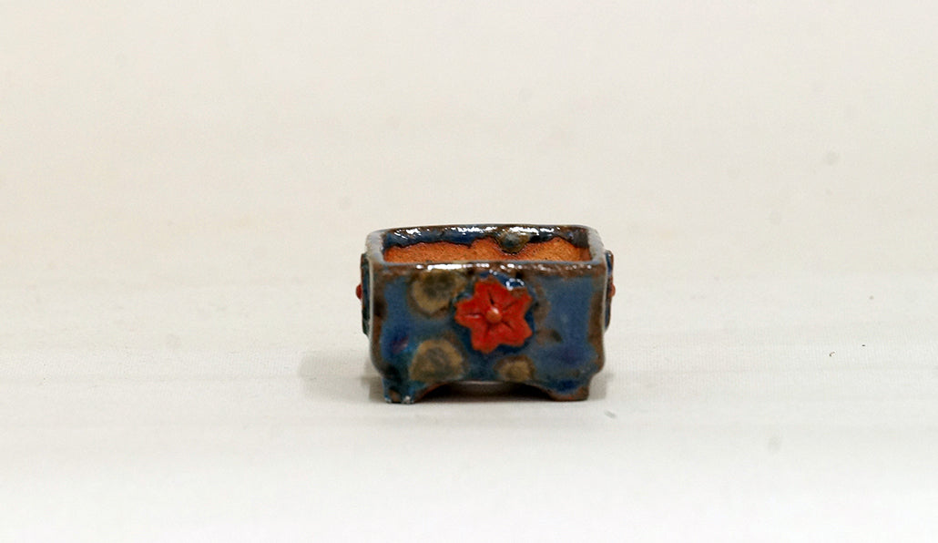 赤い花の正方鉢 みさき圭 3.5cm K025