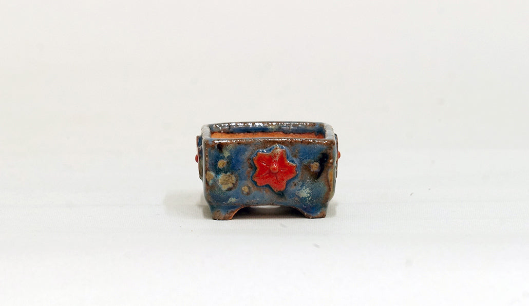 赤い花の正方鉢 みさき圭 3.5cm K025