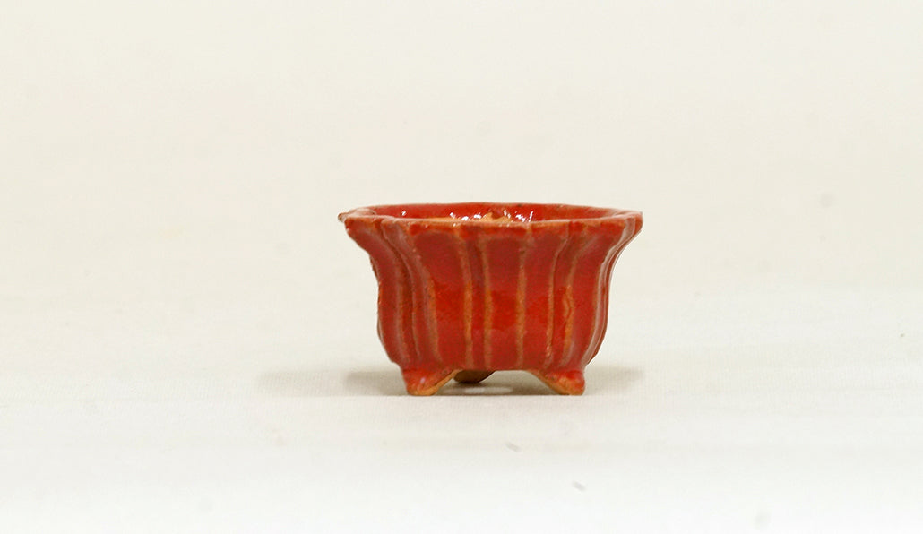 鮮やかレッドの輪花鉢 みさき圭 4cm K029