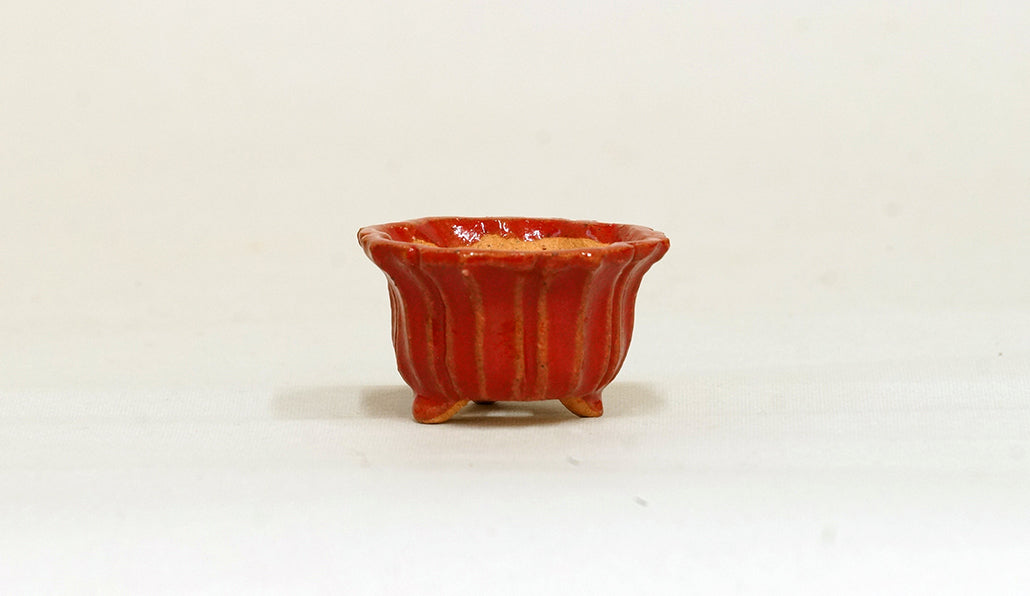 鮮やかレッドの輪花鉢 みさき圭 4cm K029
