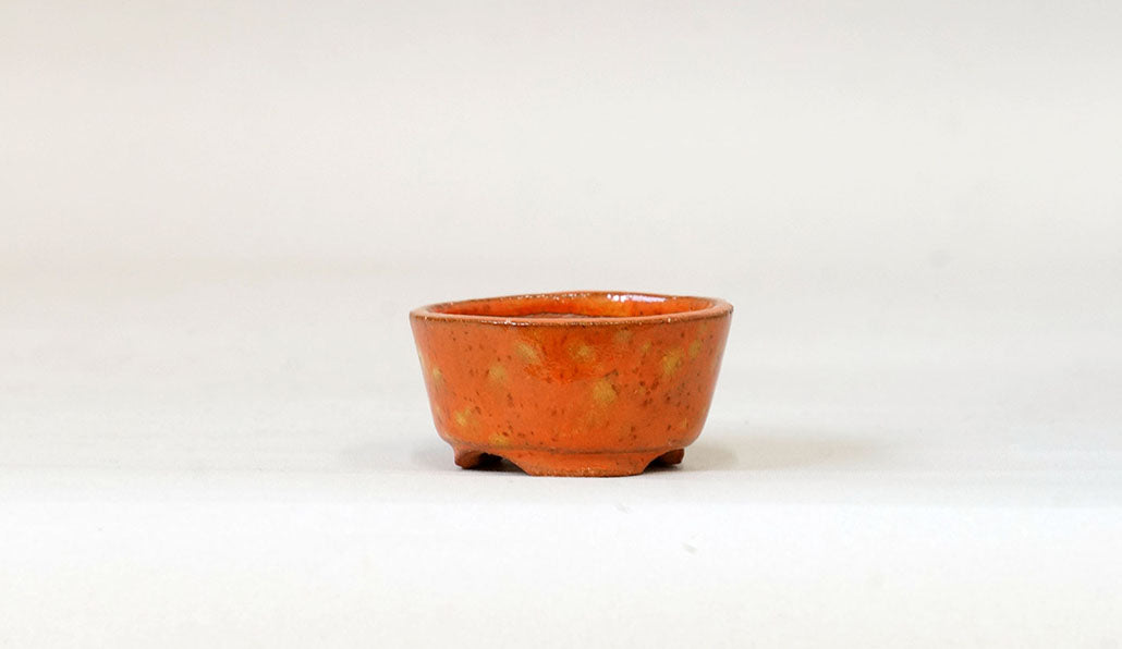 オレンジの花紋付丸鉢 圭 4.3cm K038