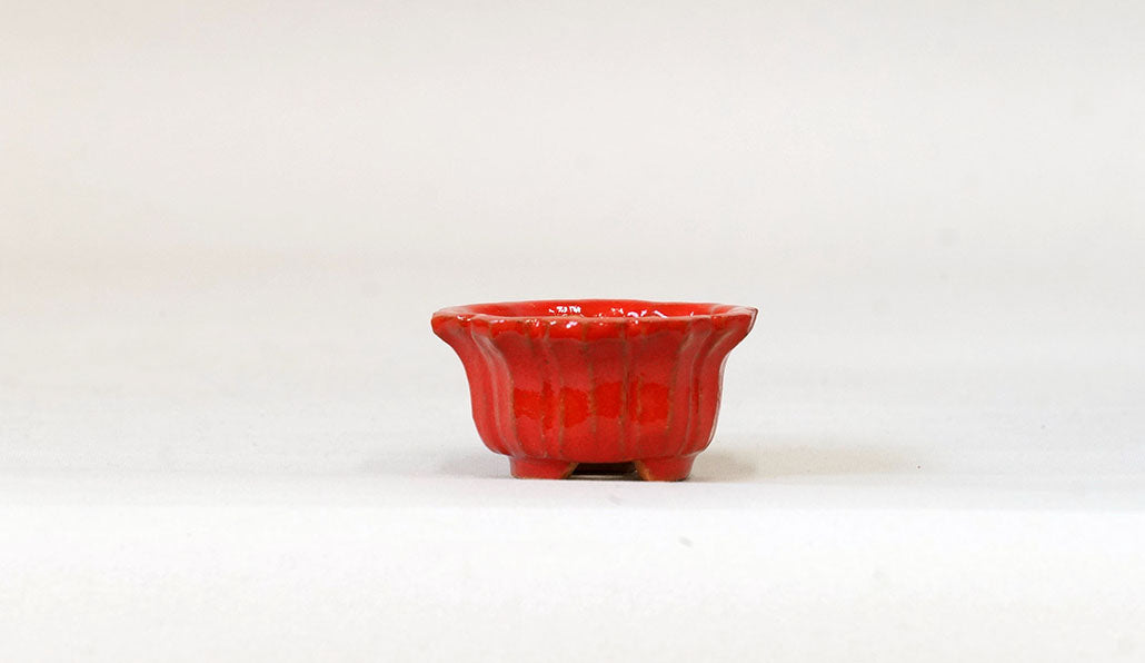 鮮やかレッドの輪花鉢 みさき圭 5cm K041