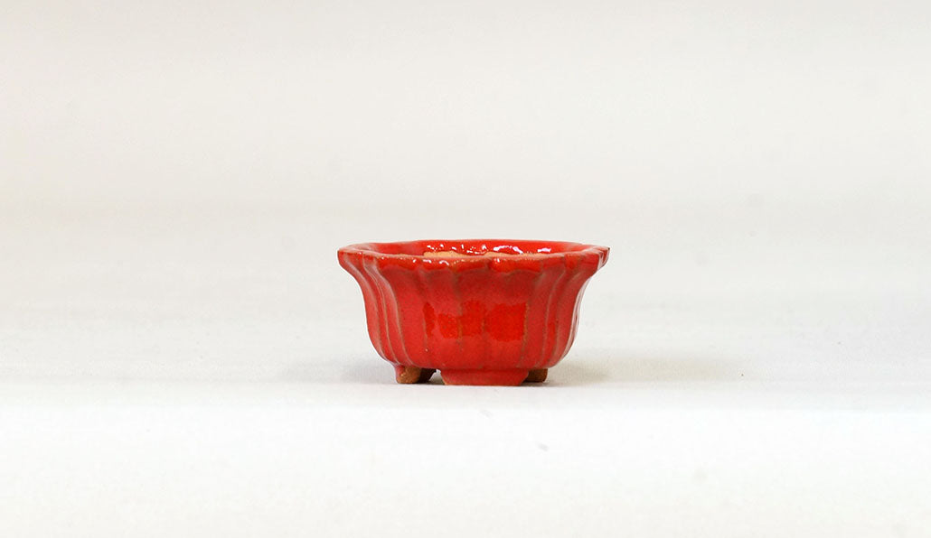 鮮やかレッドの輪花鉢 みさき圭 5cm K041