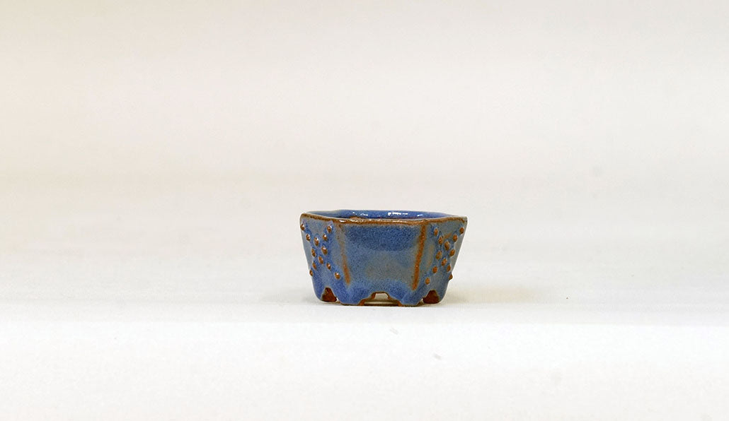 ブルーの鋲打ち六角鉢 みさき圭 4.2cm K044
