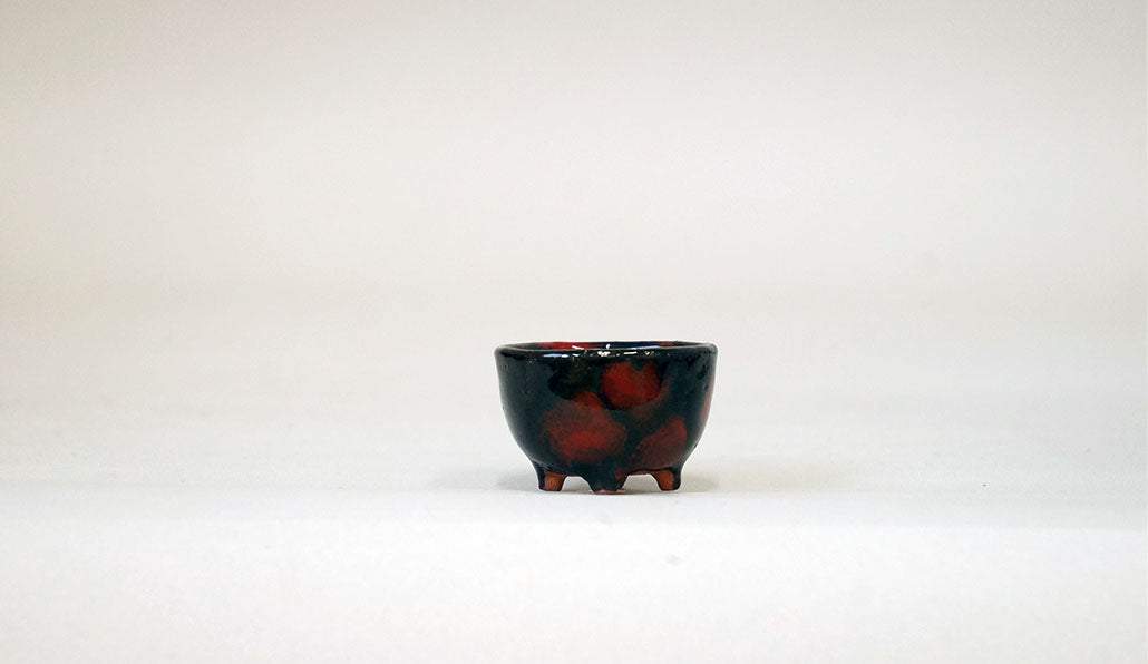 てんとう虫みたいな丸鉢 みさき圭 3.5cm K047
