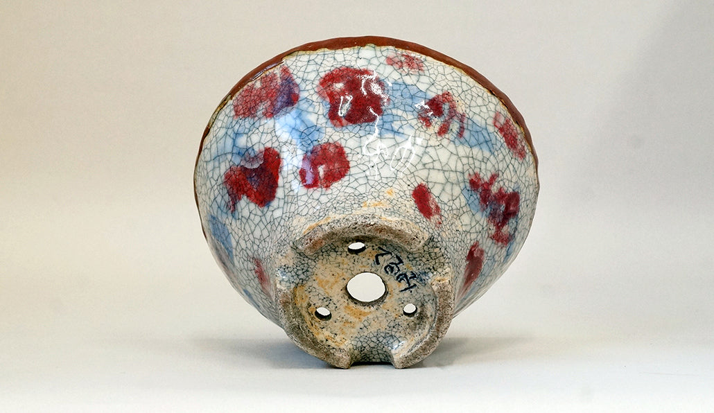 てるみ ワインレッド&ブルー丸模様の鉢 14.7cm
