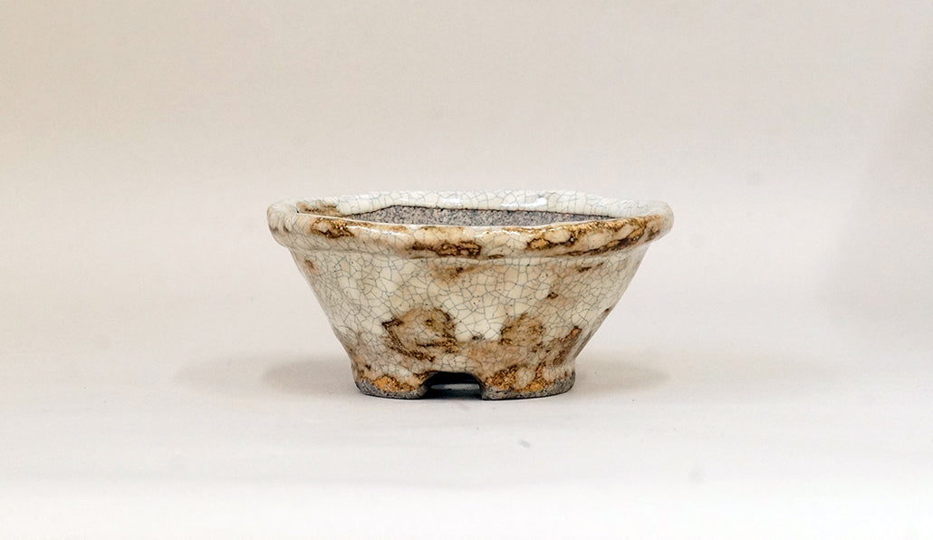 てるみ ベージュと白の丸鉢 10.5cm