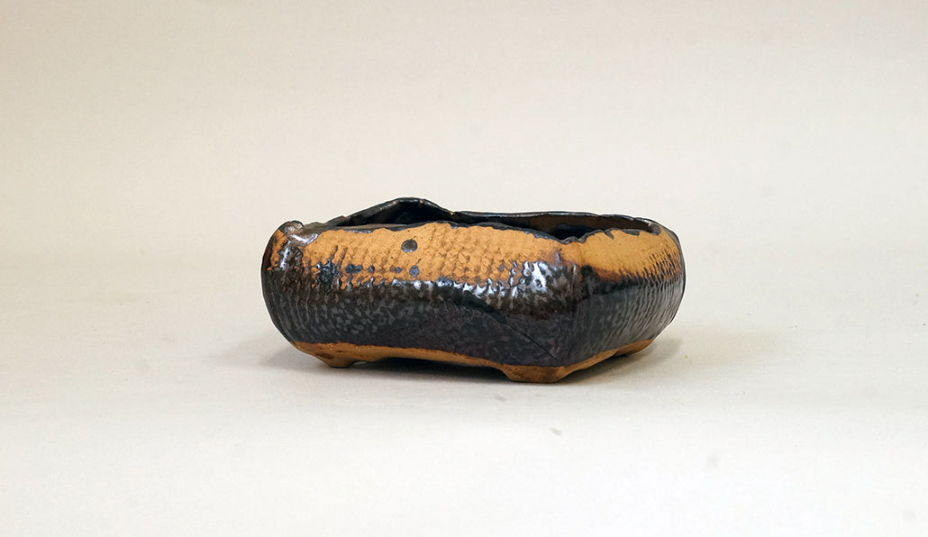 網目模様の黒鉢 ホルビラ 11cm TH001