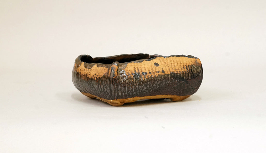 網目模様の黒鉢 ホルビラ 11cm TH001