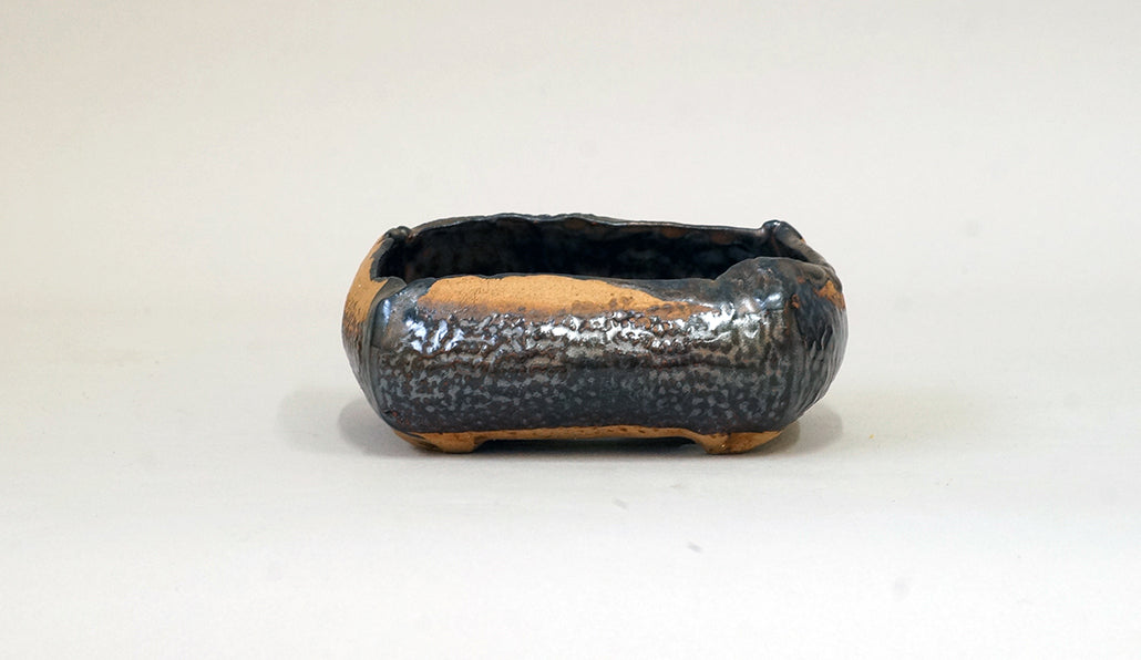 網目模様の黒鉢 ホルビラ 11cm TH001