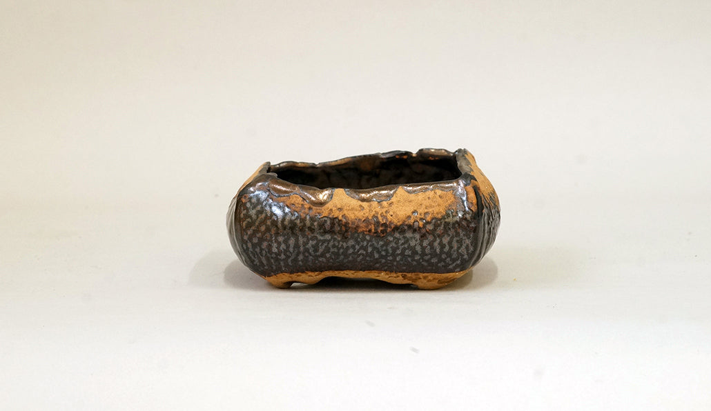 網目模様の黒鉢 ホルビラ 11cm TH001