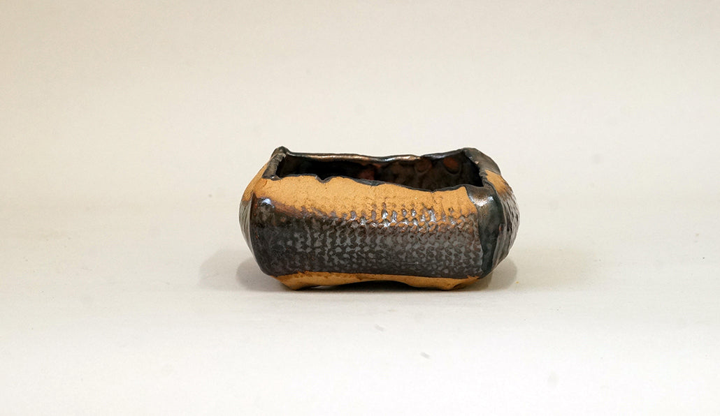 網目模様の黒鉢 ホルビラ 11cm TH001
