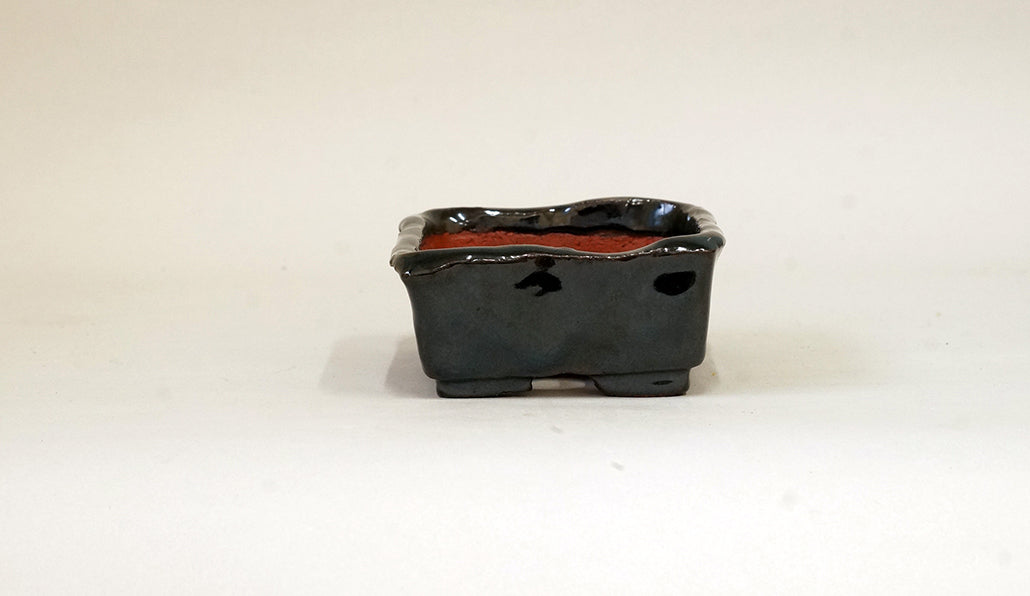 光沢感のある黒い長方鉢 ホルビラ TH002