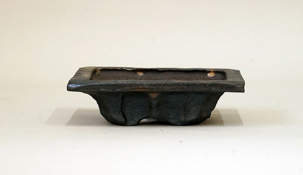 黒のフチ付き長方鉢 ホルビラ 14cm TH003