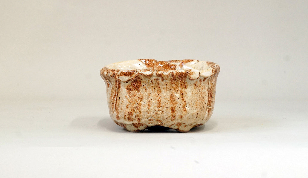 巾着みたいな正方鉢 ホルビラ 11cm TH005