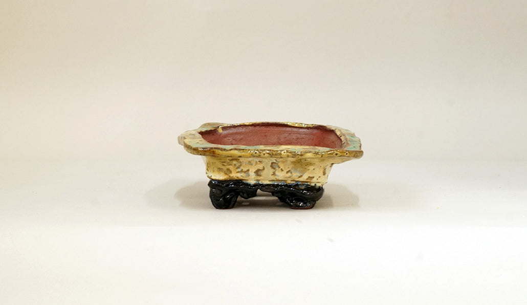 ベージュのフチ付き長方鉢 ホルビラ 16.5cm TH008