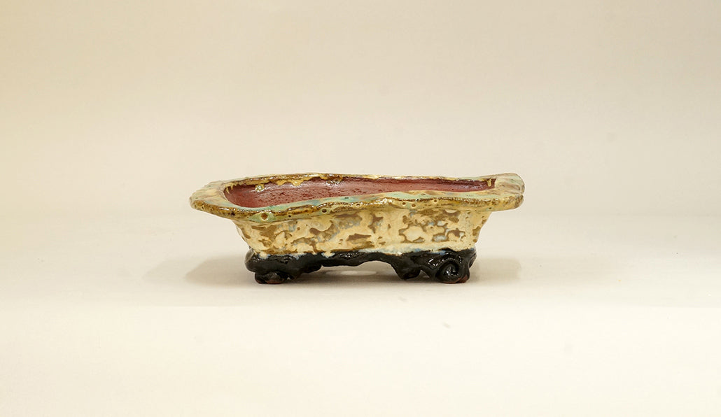 ベージュのフチ付き長方鉢 ホルビラ 16.5cm TH008