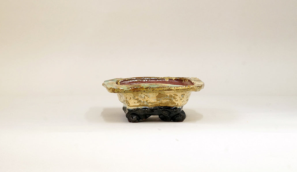 ベージュのフチ付き長方鉢 ホルビラ 16.5cm TH008