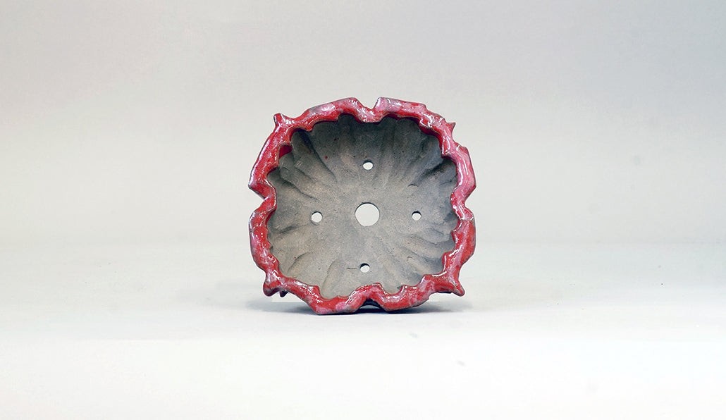 ギザギザ縁つき赤紫の鉢 ホルビラ 12cm TH009