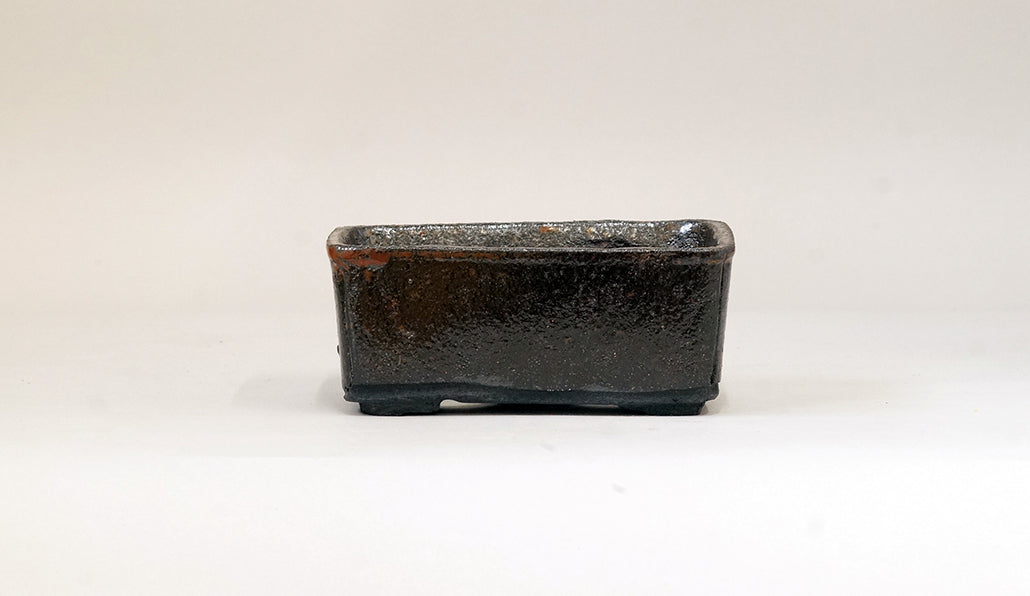 墨色の長方鉢 ホルビラ 12.7cm TH010