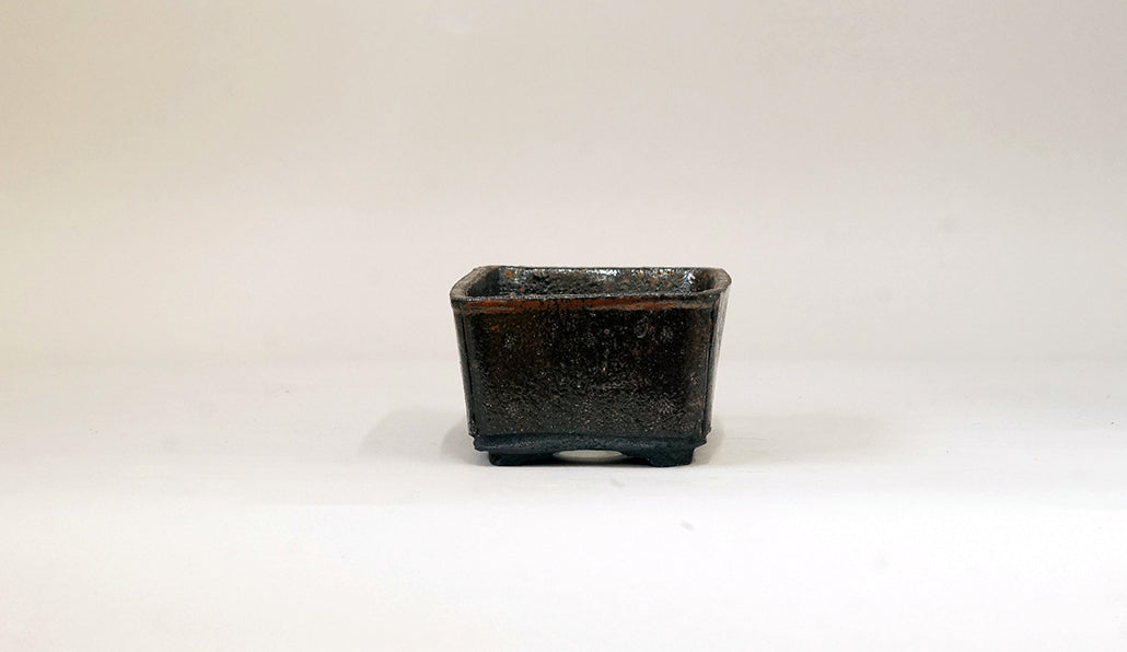 墨色の長方鉢 ホルビラ 12.7cm TH010