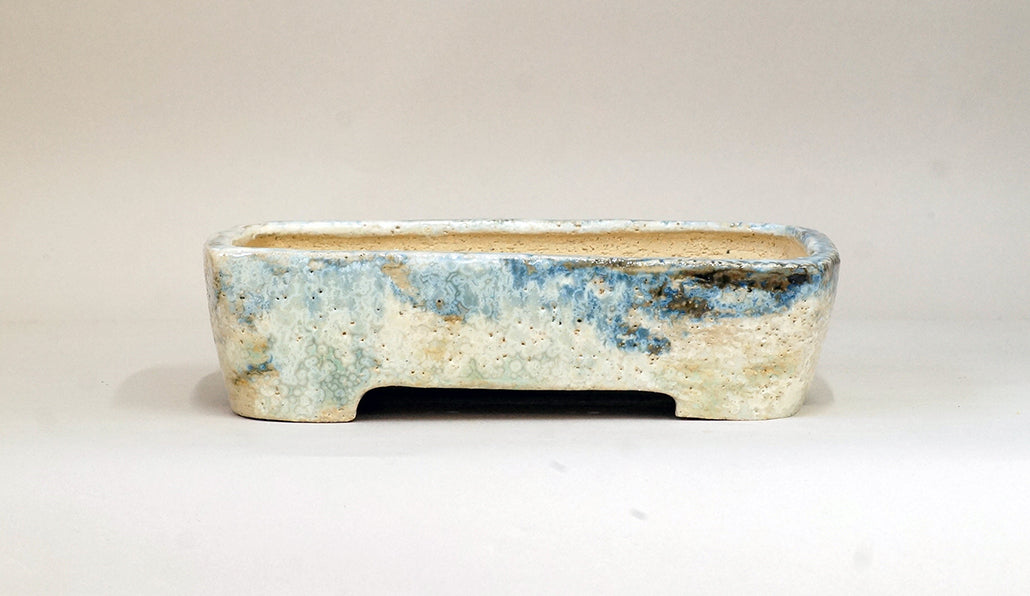 赤い丸ツブの長方鉢 ホルビラ 20.8cm TH013
