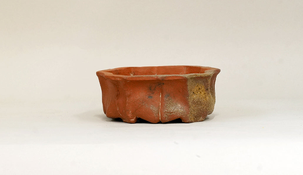 12角の焼締め鉢 ホルビラ 14cm TH020