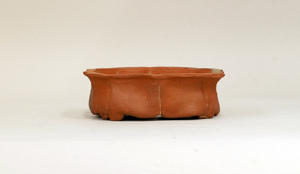 12角の焼締め鉢 ホルビラ 14cm TH020