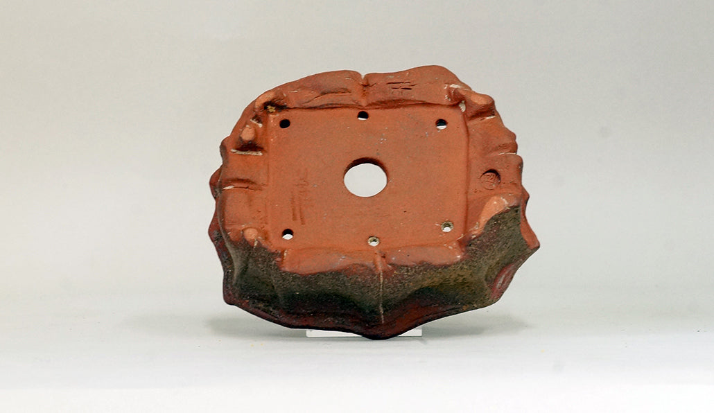 12角の焼締め鉢 ホルビラ 14cm TH020