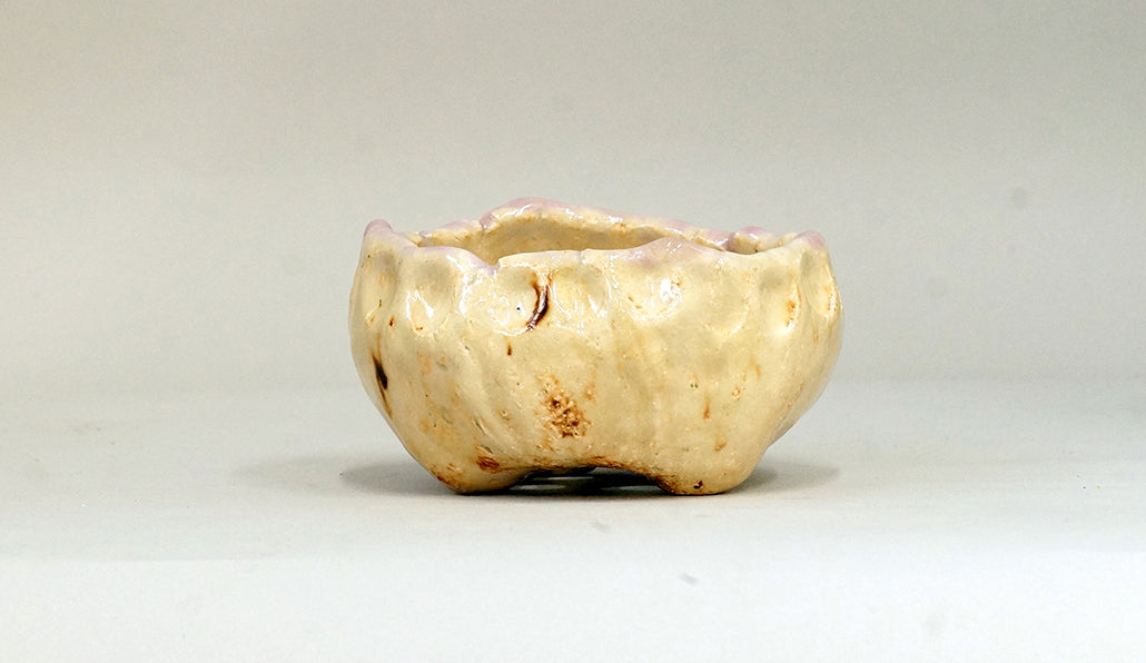 マフィンみたいな丸鉢 ホルビラ 10cm TH026