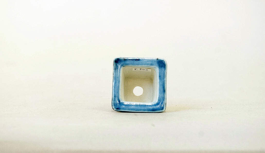 正方鉢 こうもり 石川友香 3.3cm Y088