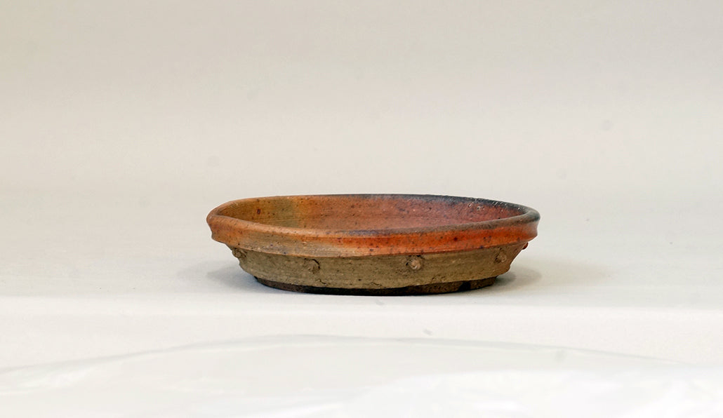 鋲打ち浅丸鉢 陶滋 13.3cm J025