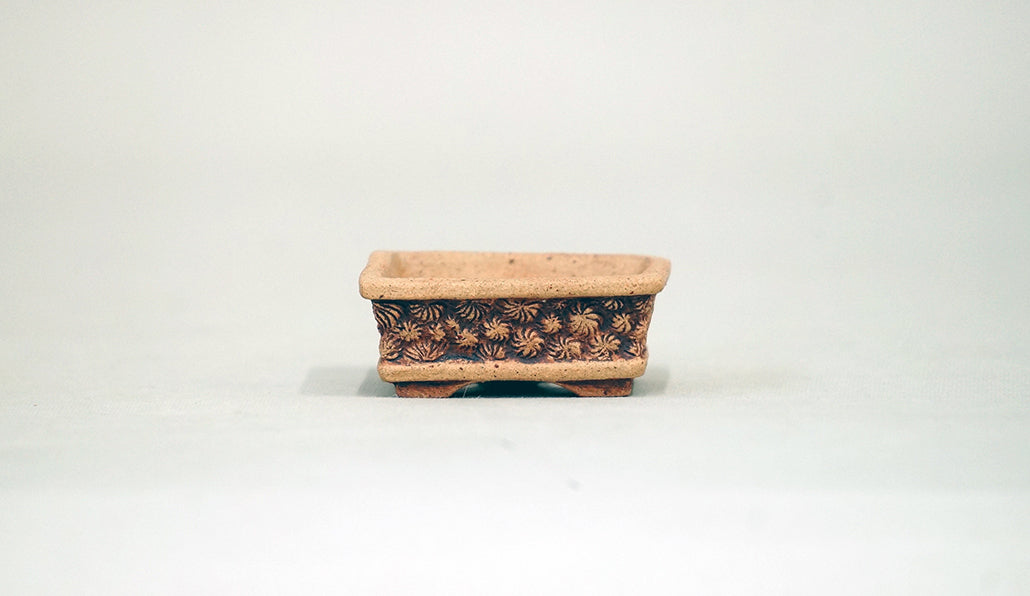 貝殻レリーフの長方鉢 コブ 3.8cm KB011