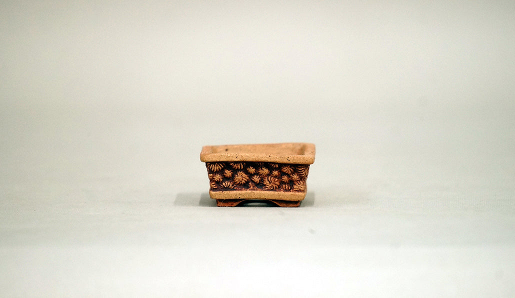 貝殻レリーフの長方鉢 コブ 3.8cm KB011