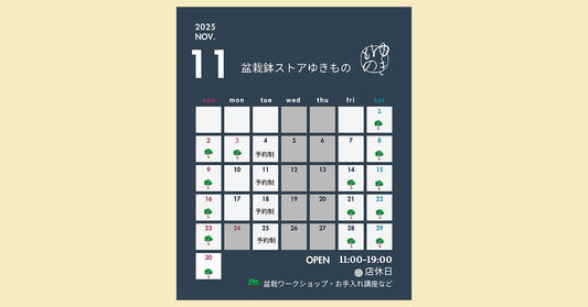 2025年11月の営業のお知らせ