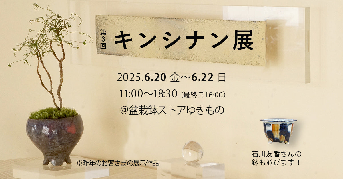 盆栽鉢ストアゆきもの｜イベント｜第3回キンシナン展