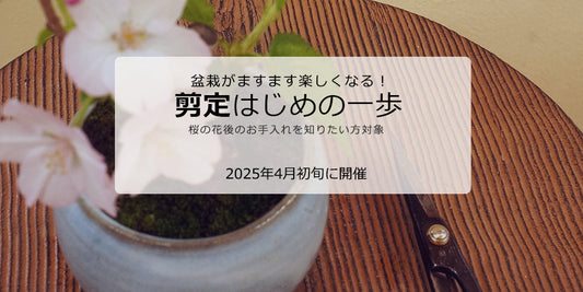 剪定はじめの一歩2025