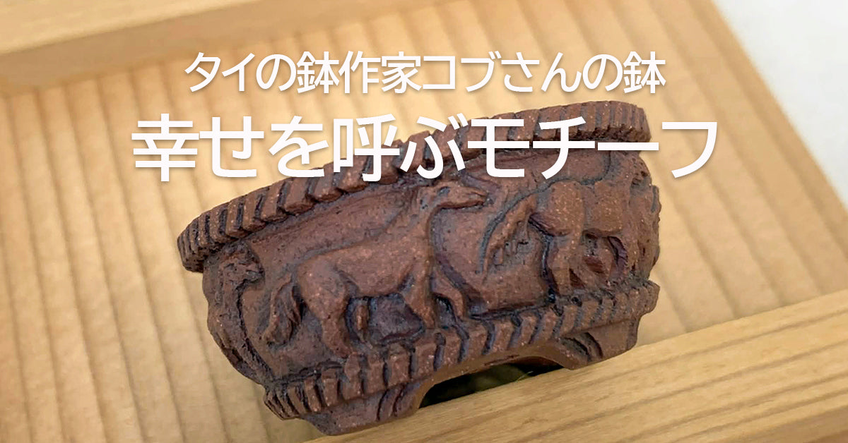 盆栽鉢ストアゆきもの