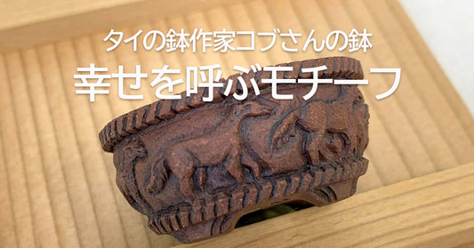 コブさんの、幸せを呼ぶモチーフの鉢