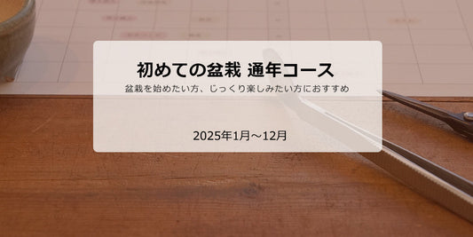 初めての盆栽 通年コース(2025年1月スタート）