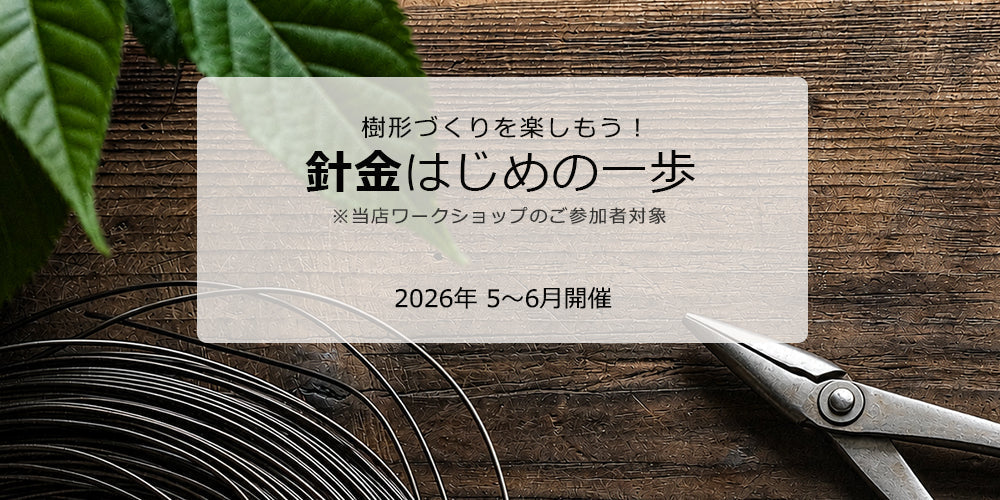盆栽鉢ストアゆきもの