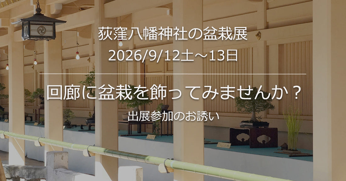 神社回廊に盆栽を飾ろう! 2026