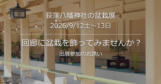 神社回廊に盆栽を飾ろう! 2026
