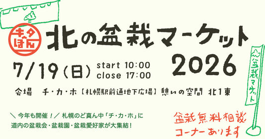 今年も札幌へ。「北の盆栽マーケット」出店のお知らせ