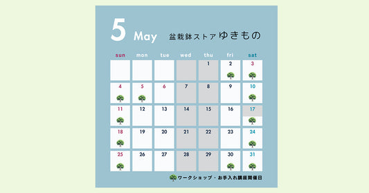 5月の店舗営業予定