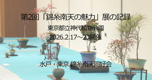 第2回「錦糸南天の魅力」展　 神代植物公園