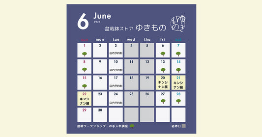６月の店舗営業予定